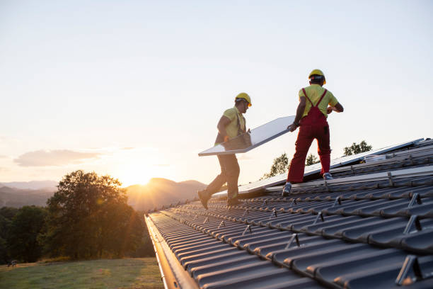 Best Storm Damage Roof Repair  in Dewitt, IA