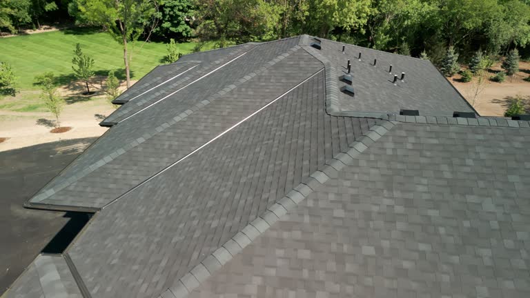 Best Roof Moss and Algae Removal  in Dewitt, IA