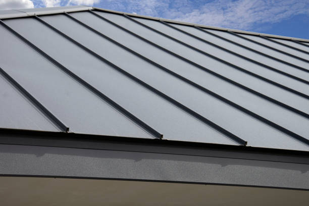Best Roof Moss and Algae Removal  in Dewitt, IA