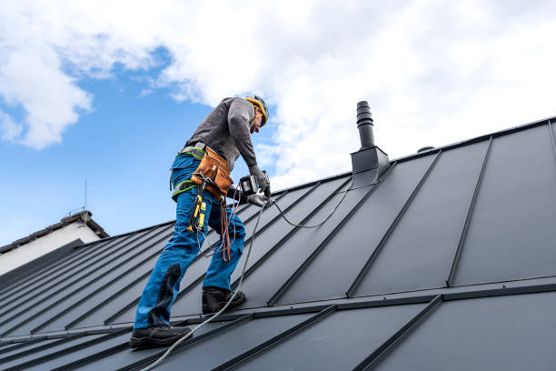Best Metal Roofing Installation  in Dewitt, IA