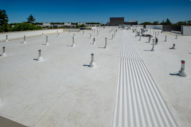 Best Skylight Installation and Repair  in Dewitt, IA